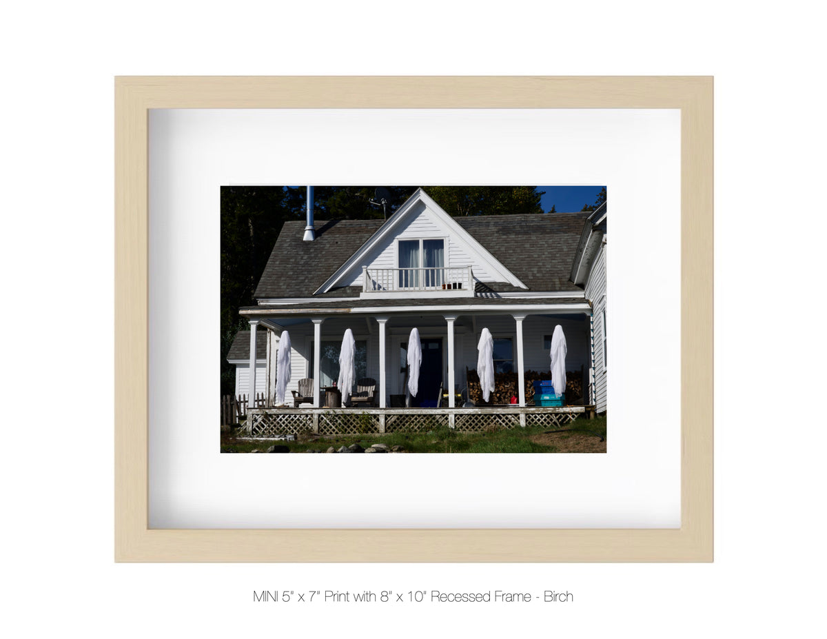 Whitmore Neck, Maine - October 5, 2025