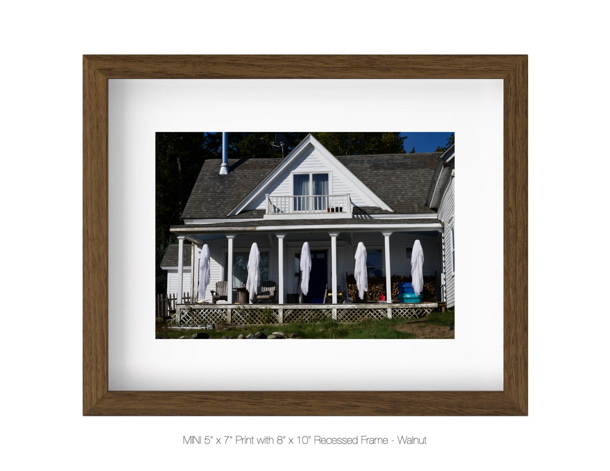 Whitmore Neck, Maine - October 5, 2025