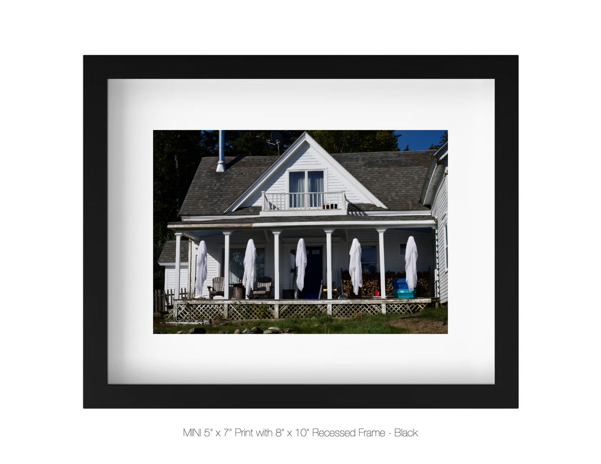 Whitmore Neck, Maine - October 5, 2025