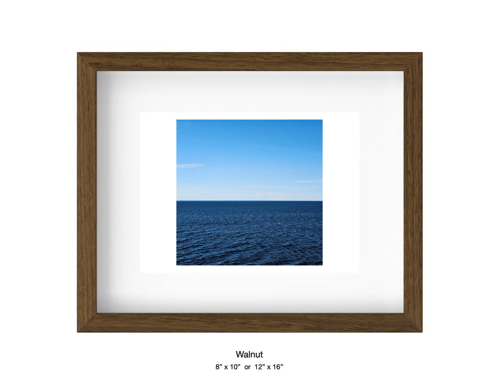 Halibut Point, Massachusetts - March 10, 2025 -