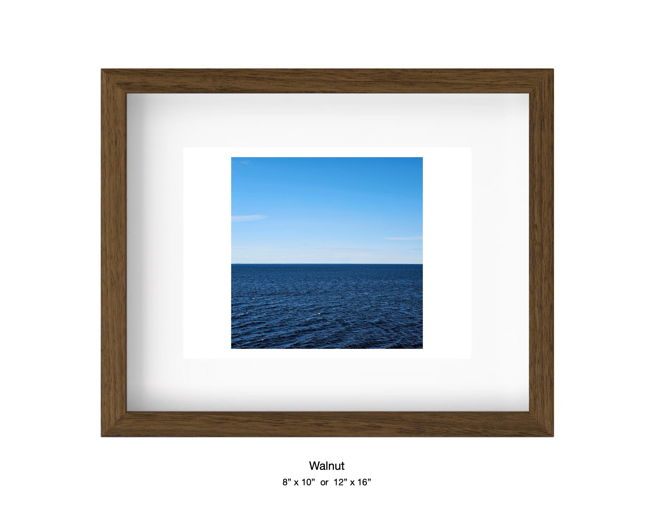 Halibut Point, Massachusetts - March 10, 2025 -