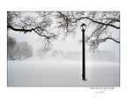 Queens , New York - January, 25, 2026 -