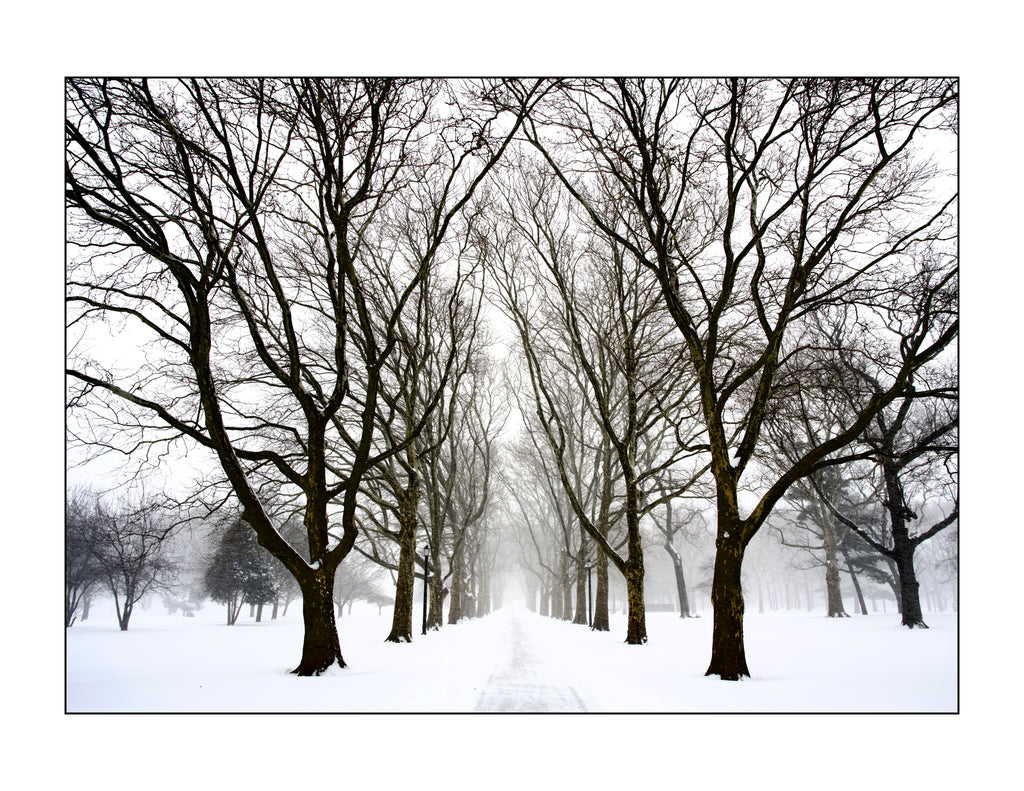 Queens , New York - January, 25, 2026 -