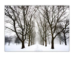 Queens , New York - January, 25, 2026 -