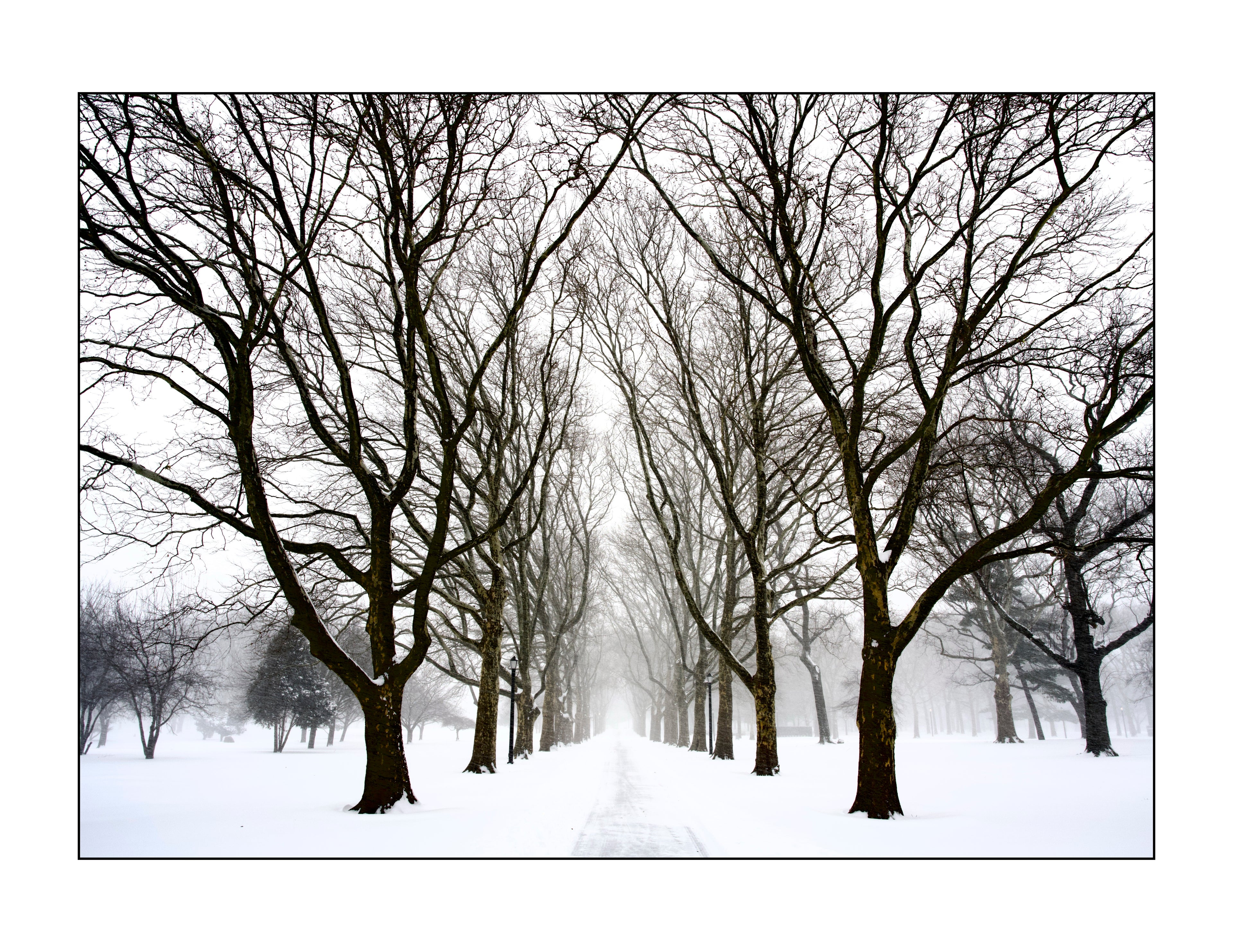 Queens , New York - January, 25, 2026 -