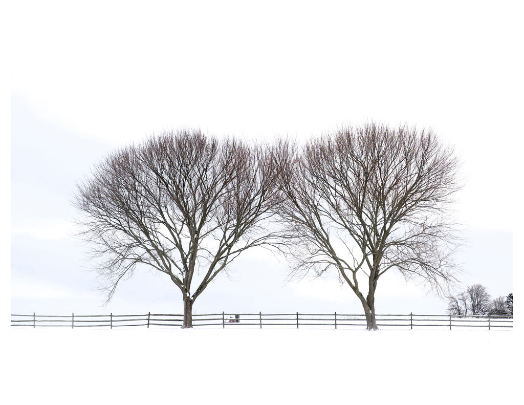 Newport, Rhode Island - December 27, 2025 -