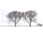 Newport, Rhode Island - December 27, 2025 -