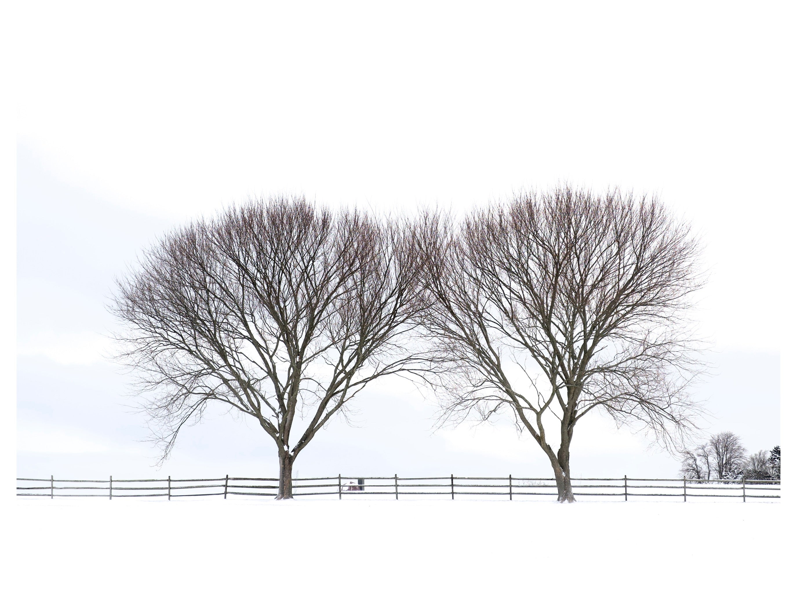 Newport, Rhode Island - December 27, 2025 -