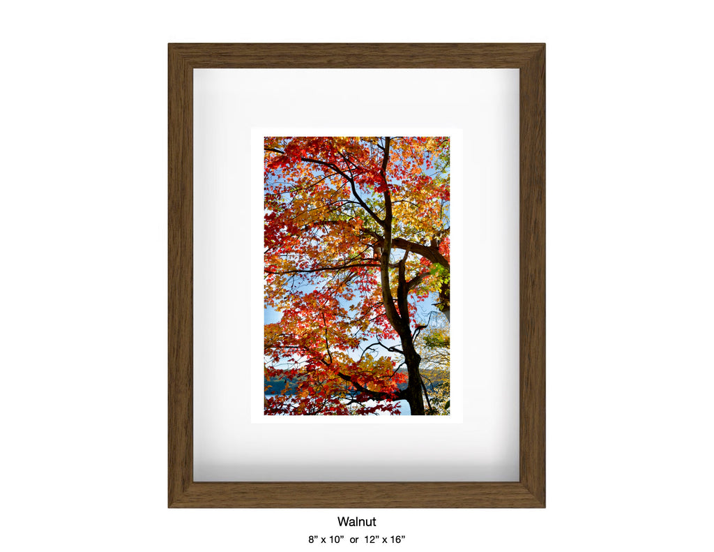 Harriman, New York - October 21, 2025 -