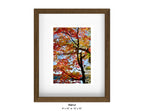 Harriman, New York - October 21, 2025 -