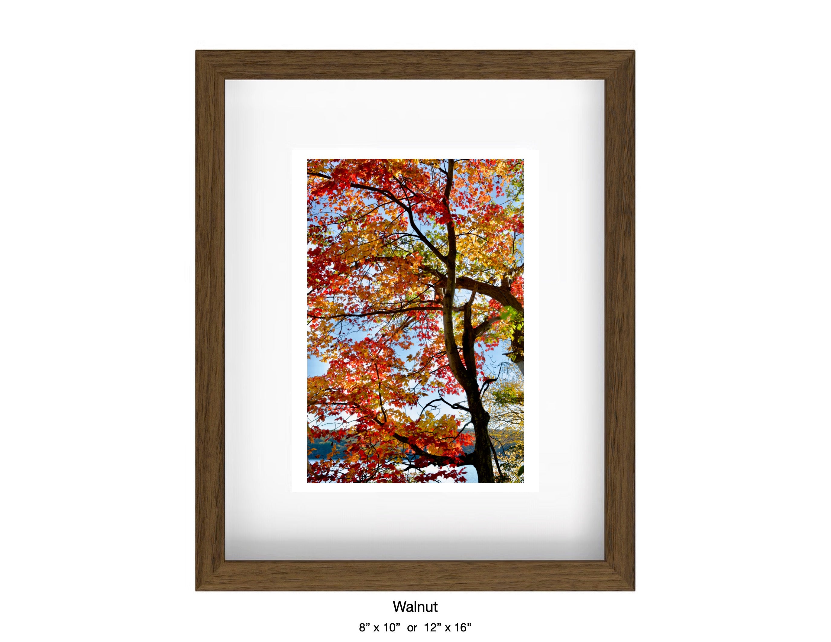 Harriman, New York - October 21, 2025 -