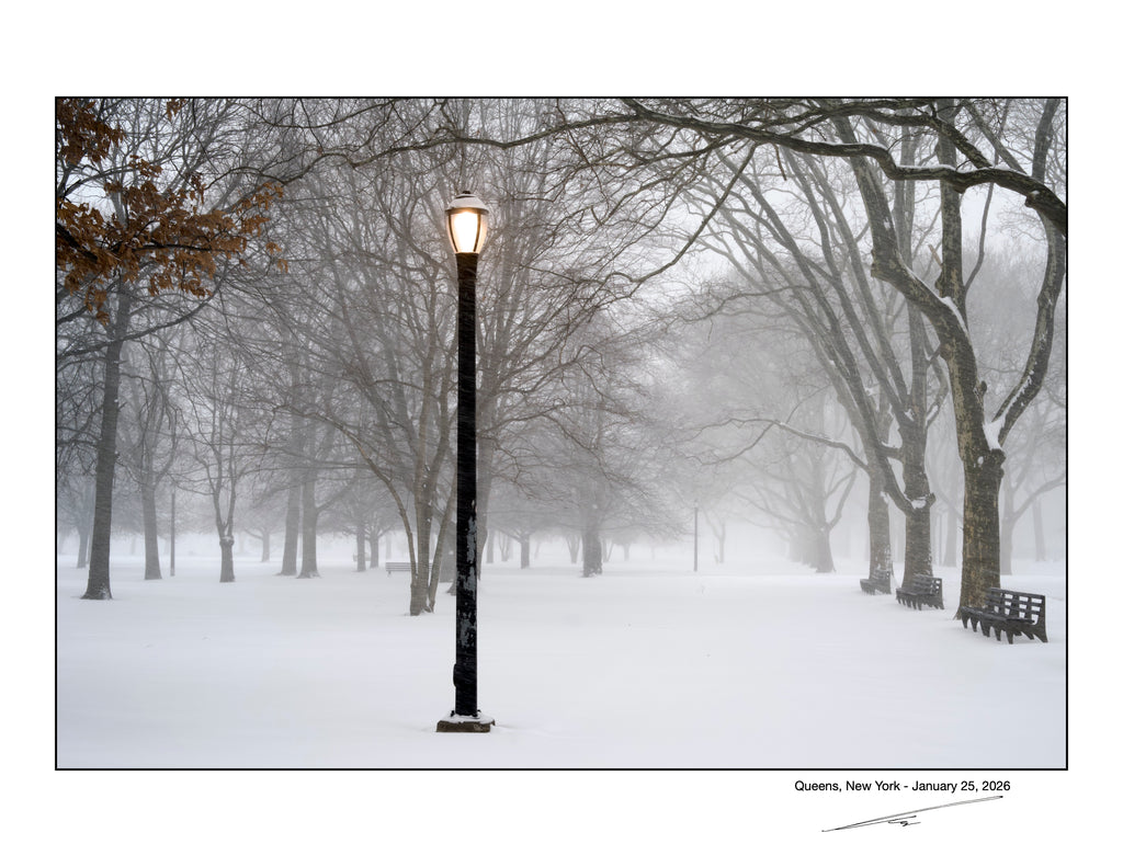 Queens , New York - January, 25, 2026 -