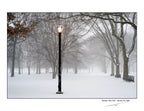 Queens , New York - January, 25, 2026 -