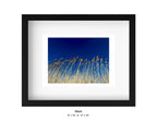 Lake Huron, Ohio - April 9, 2025 -