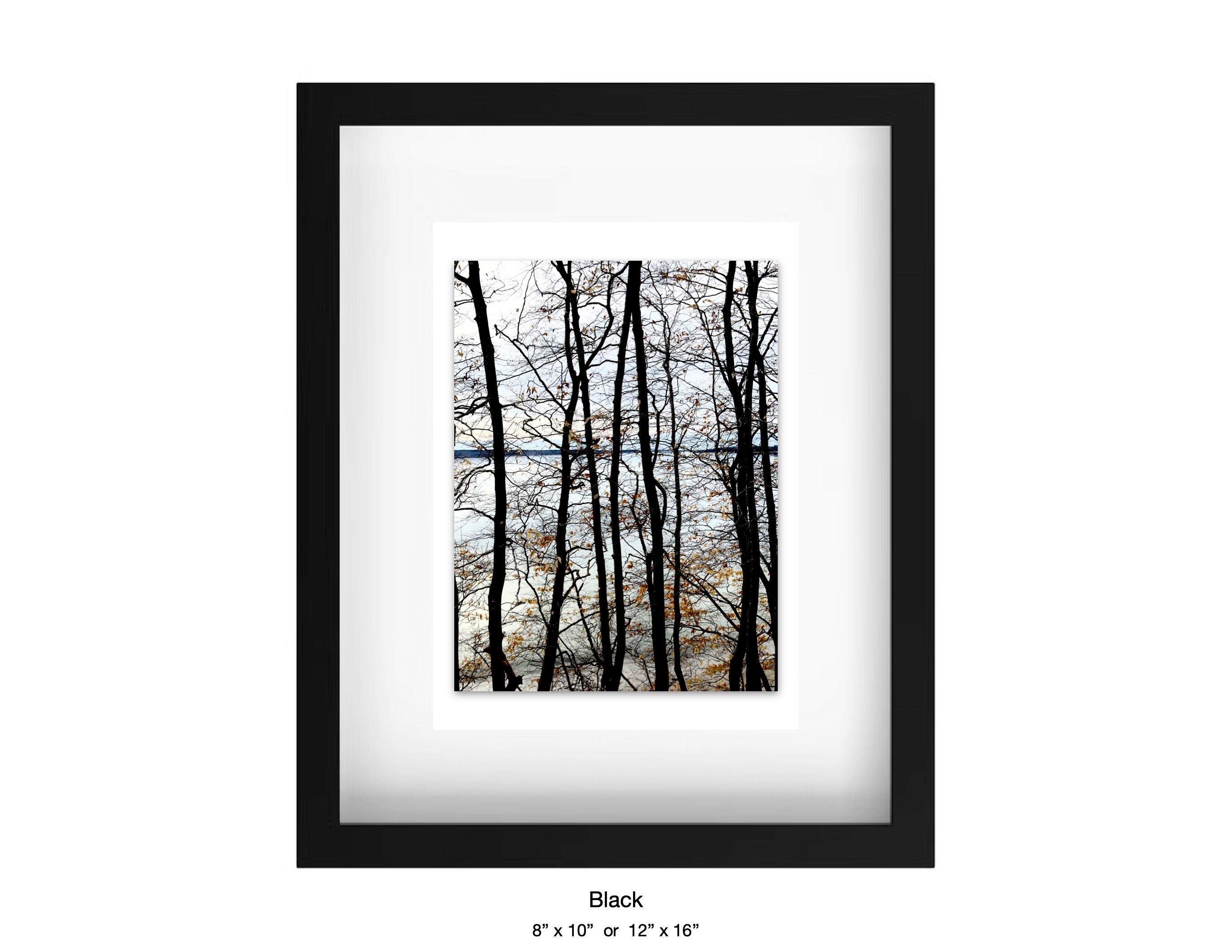 April 4, 2025 - Cumberland, Maine