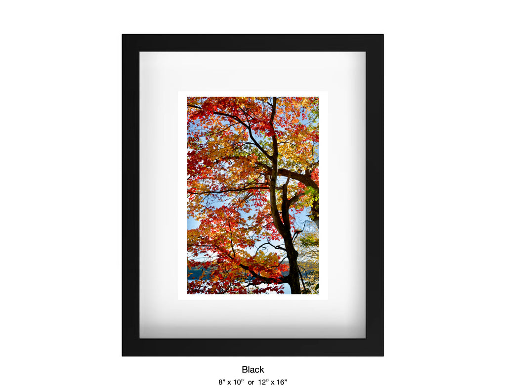 Harriman, New York - October 21, 2025 -