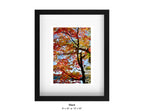 Harriman, New York - October 21, 2025 -