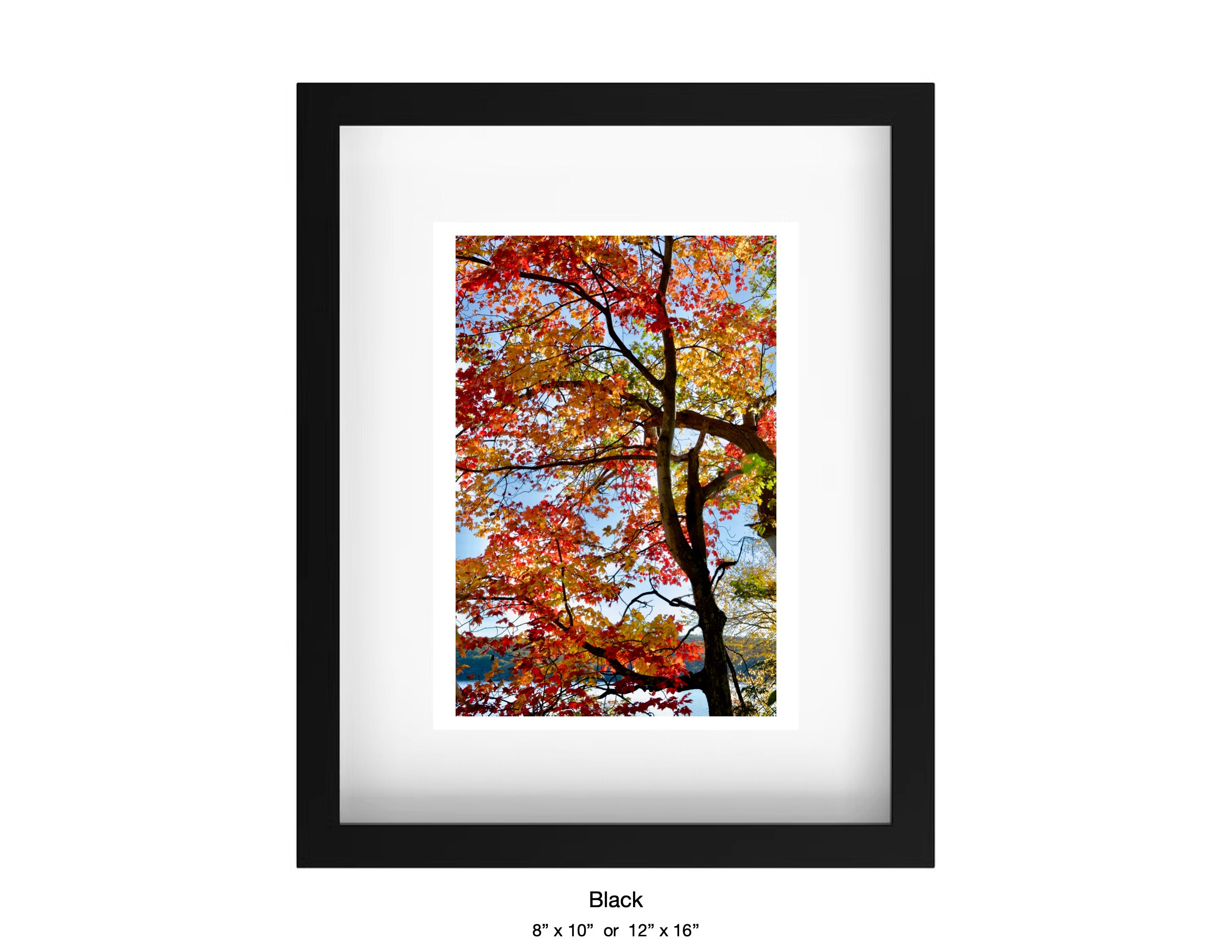 Harriman, New York - October 21, 2025 -