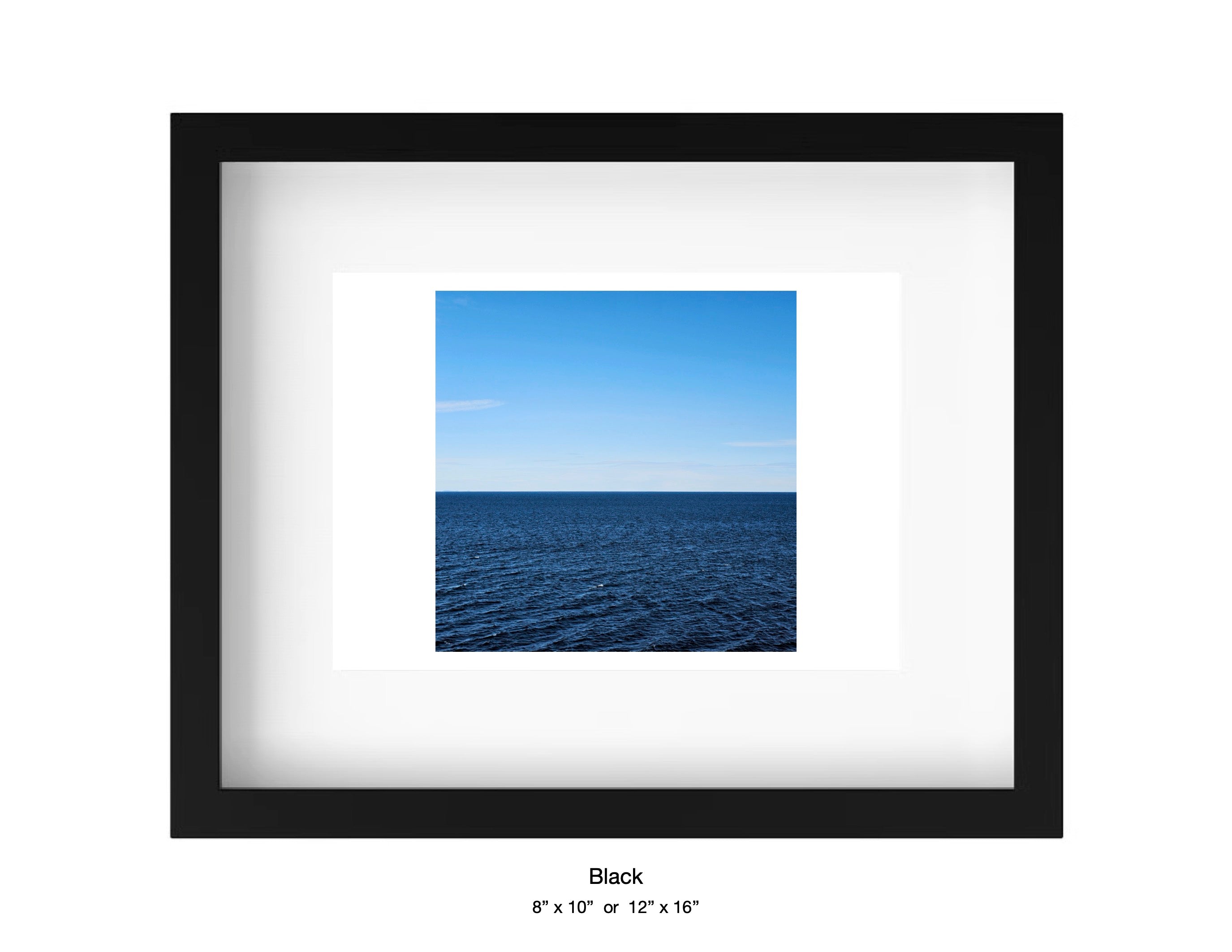 Halibut Point, Massachusetts - March 10, 2025 -