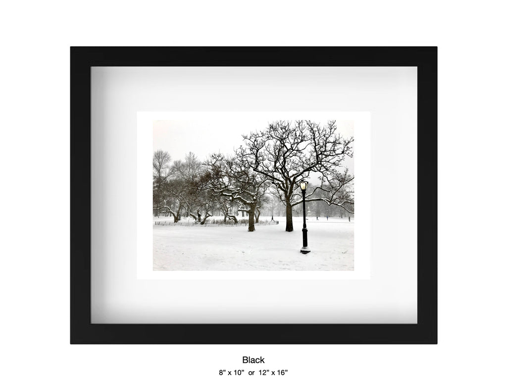 Central Park, New York - January 7, 2017