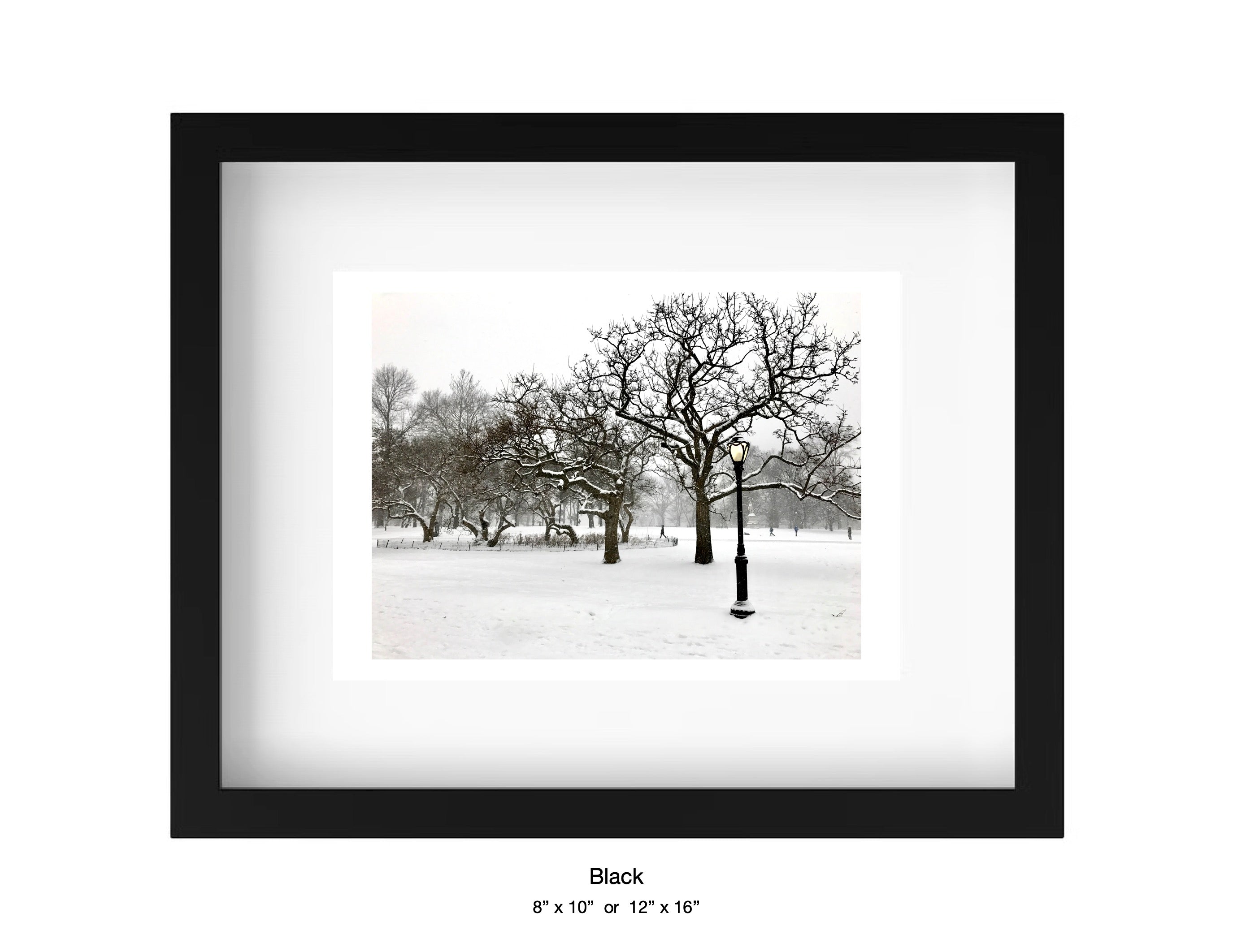Central Park, New York - January 7, 2017
