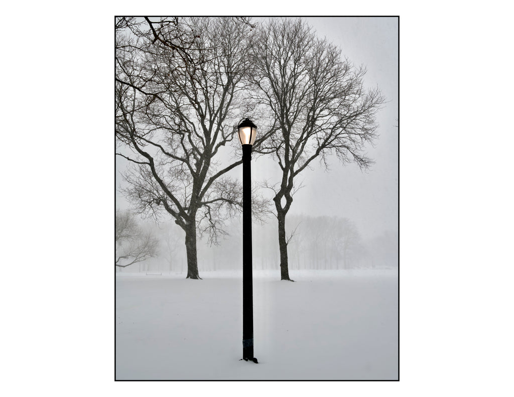 Queens , New York - January, 25, 2026 -