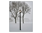 Queens , New York - January, 25, 2026 -