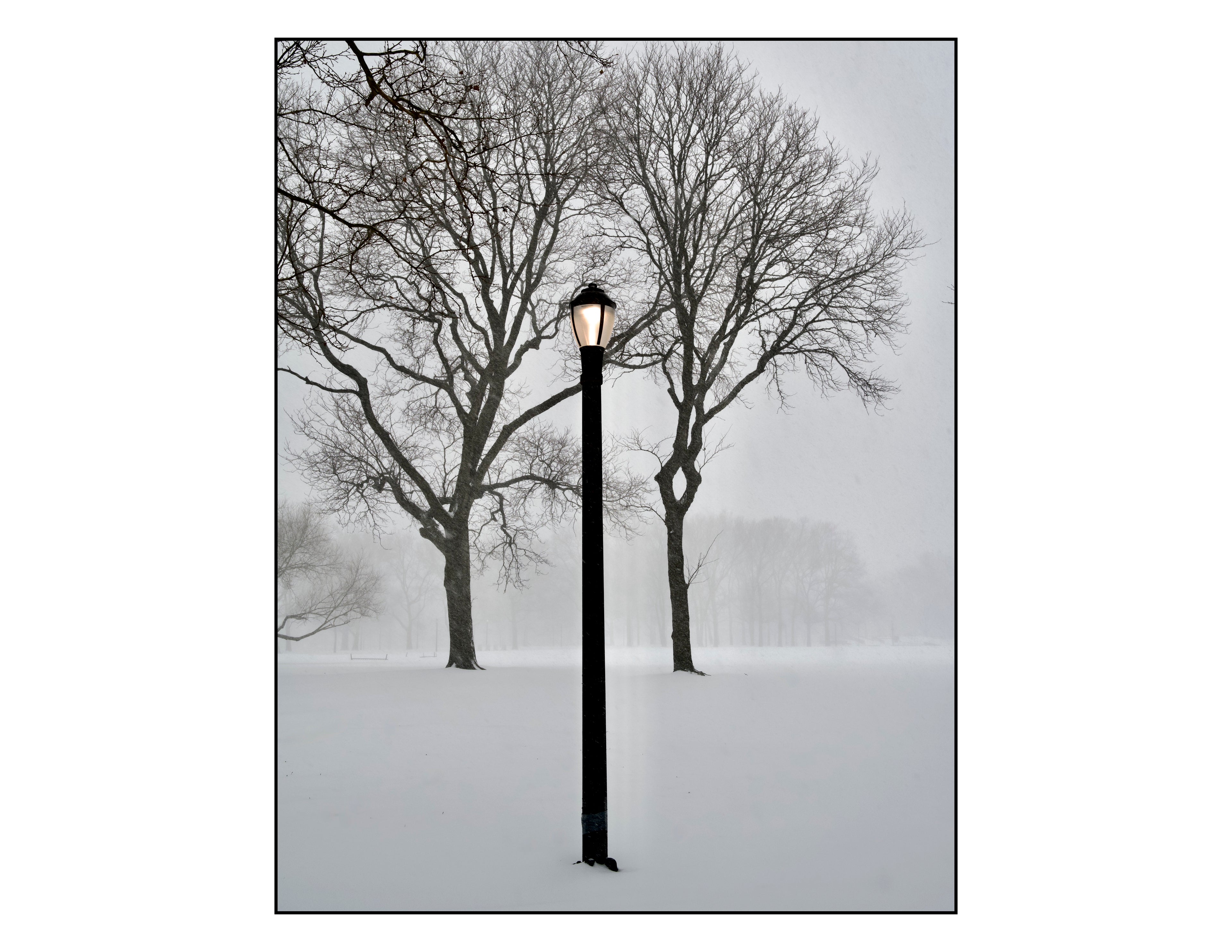 Queens , New York - January, 25, 2026 -