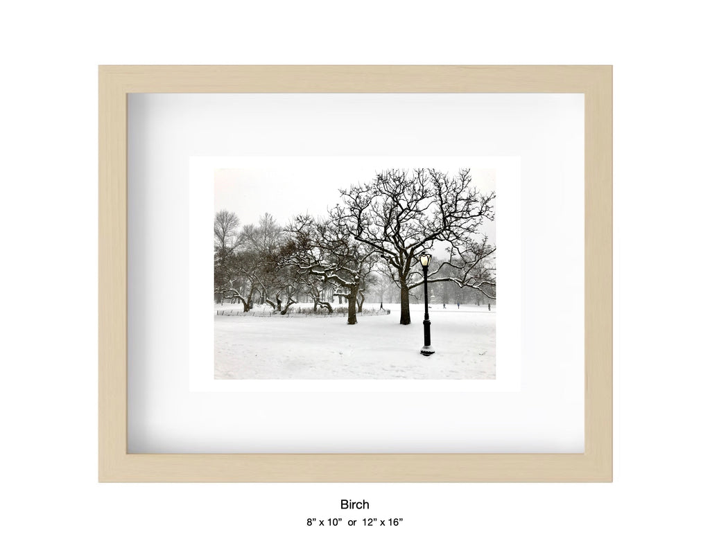 Central Park, New York - January 7, 2017