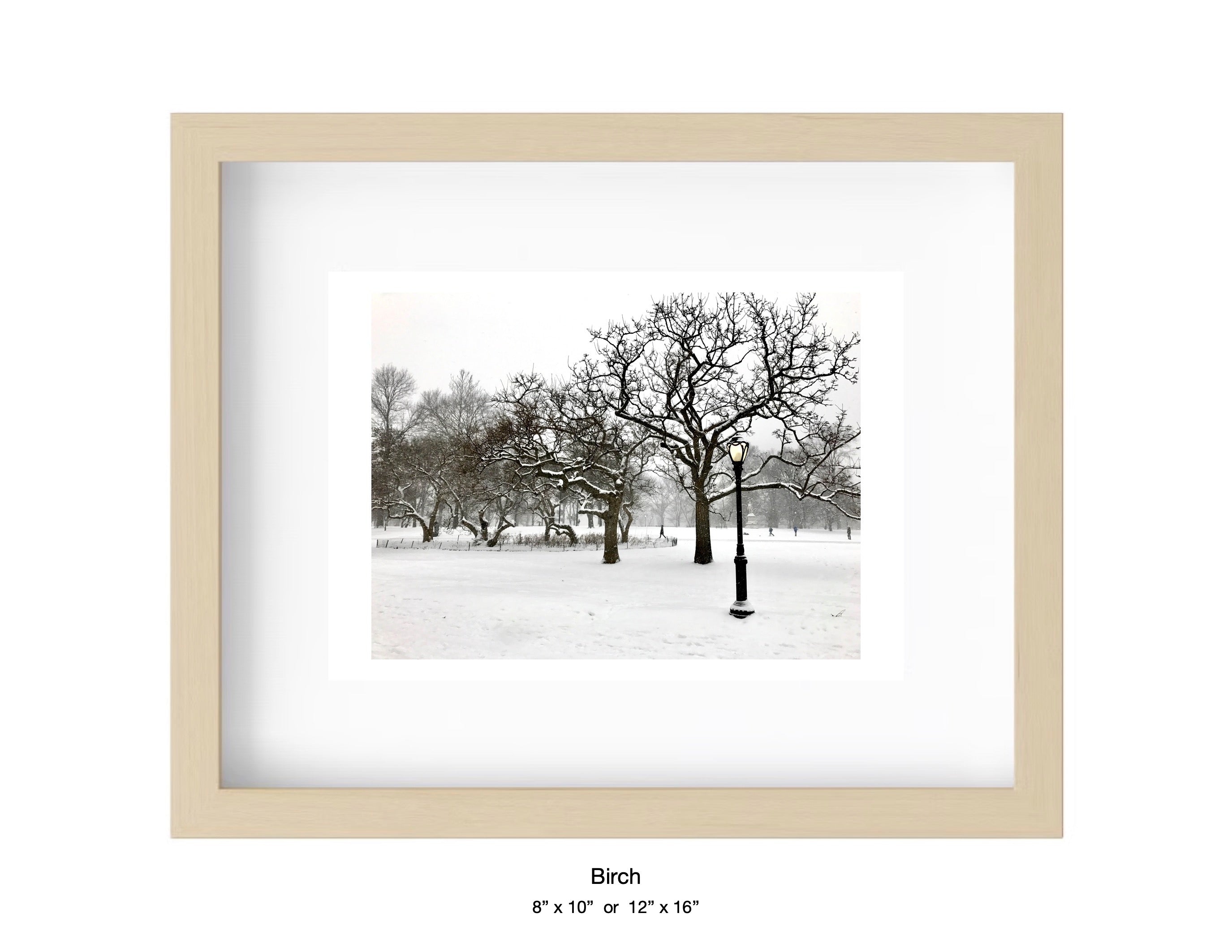 Central Park, New York - January 7, 2017
