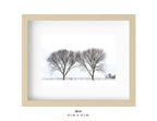 Newport, Rhode Island - December 27, 2025 -