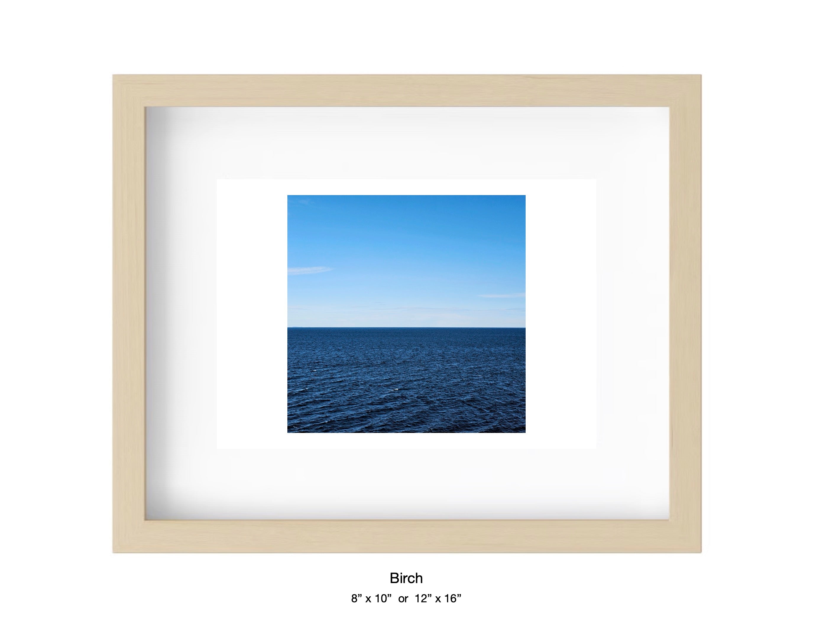 Halibut Point, Massachusetts - March 10, 2025 -