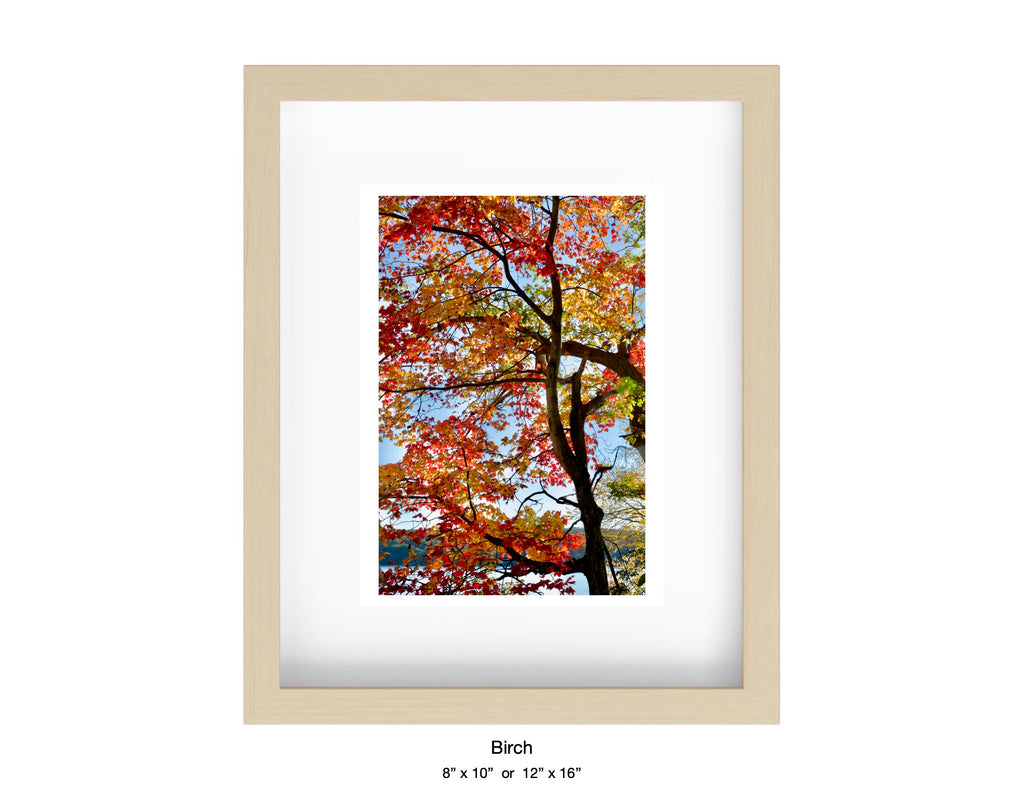 Harriman, New York - October 21, 2025 -
