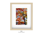 Harriman, New York - October 21, 2025 -