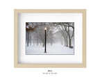Queens , New York - January, 25, 2026 -