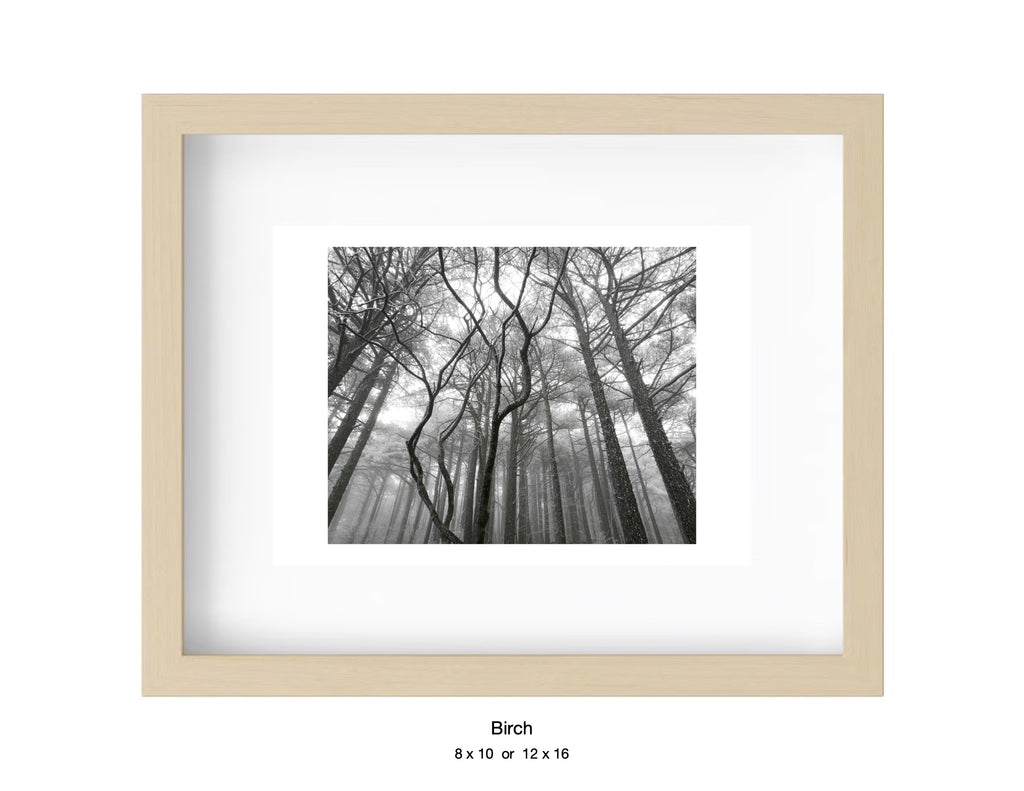 ‎⁨⁨Huangshan, China - January 31, 2019 -