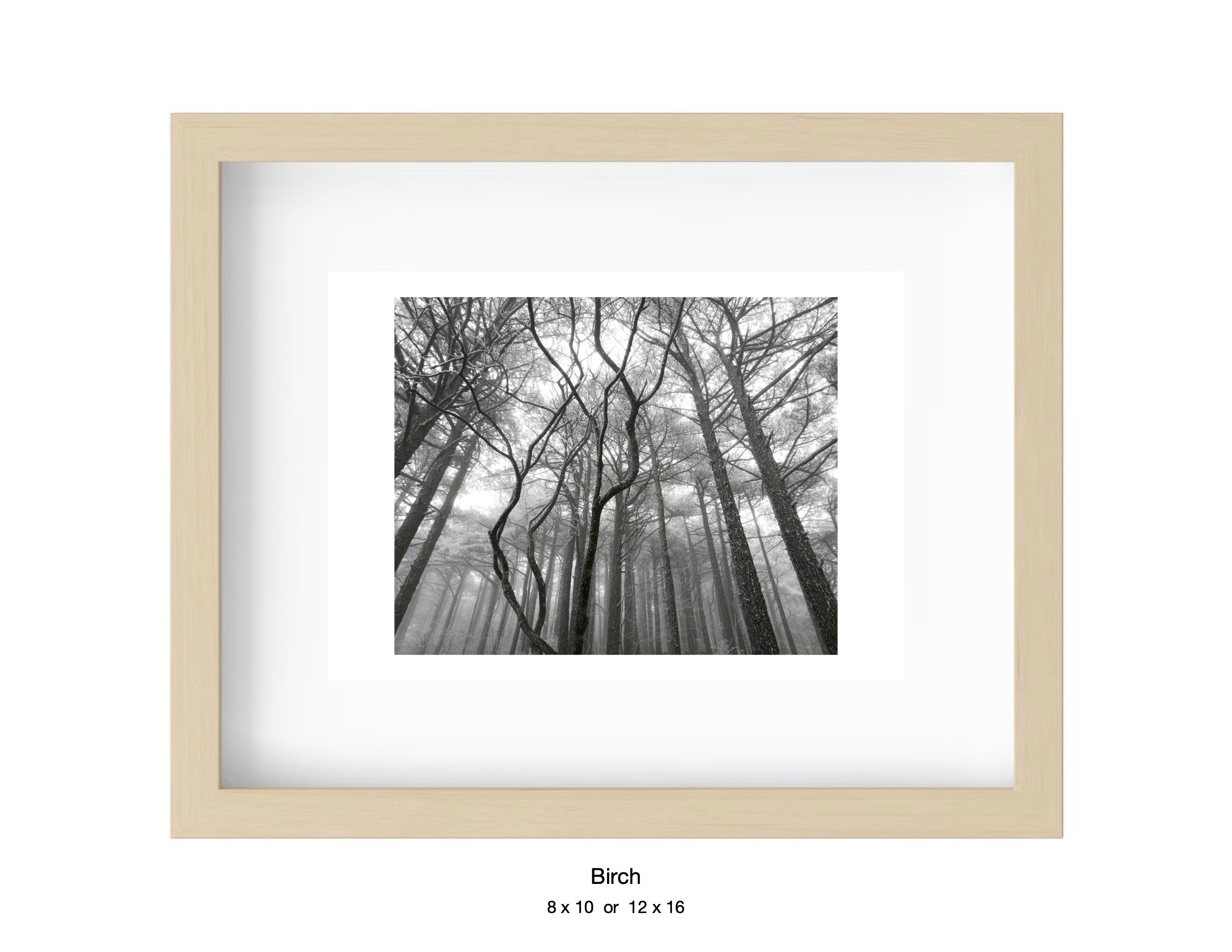 ‎⁨⁨Huangshan, China - January 31, 2019 -