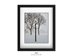 Queens , New York - January, 25, 2026 -