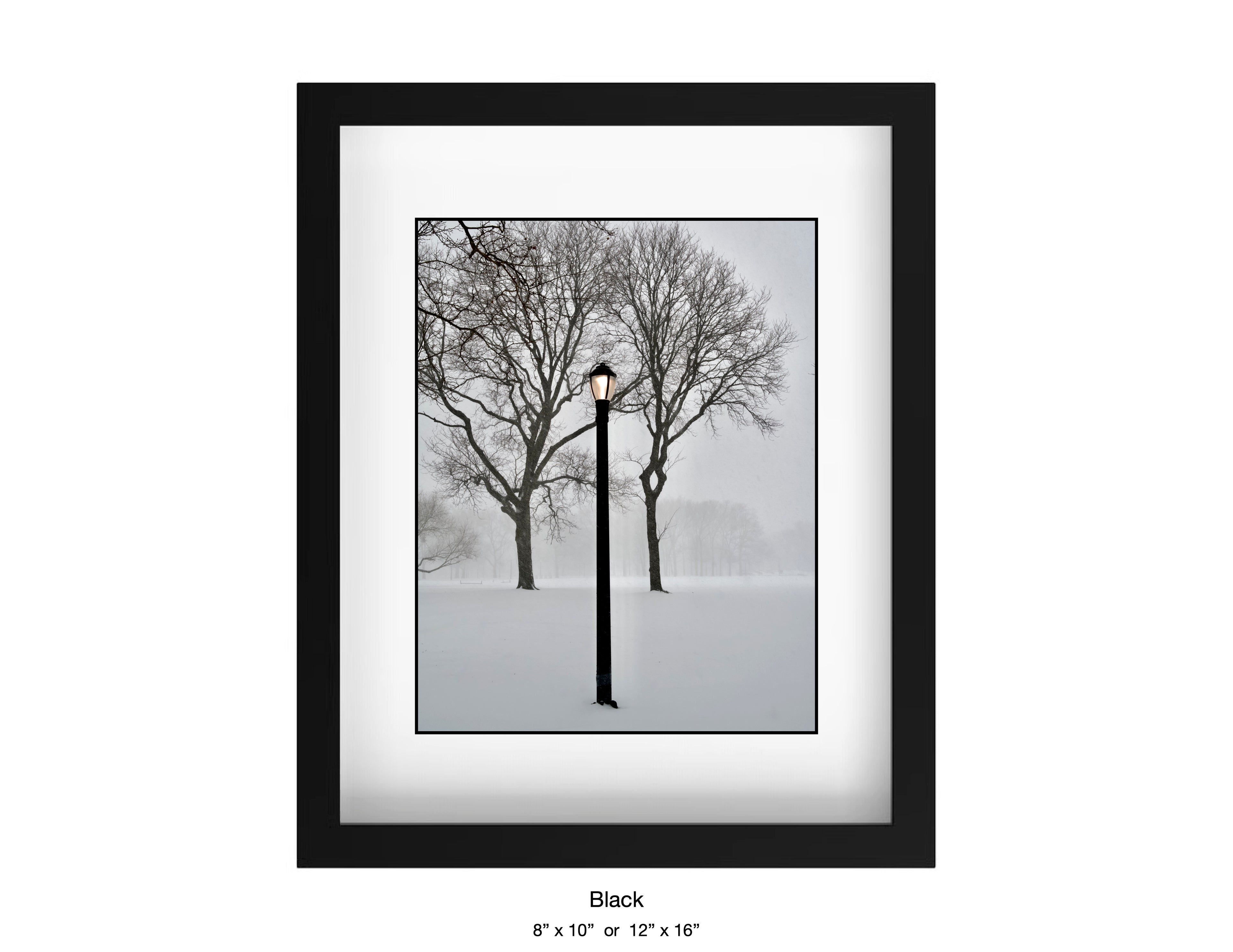 Queens , New York - January, 25, 2026 -