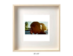 Quogue, New York - 1997