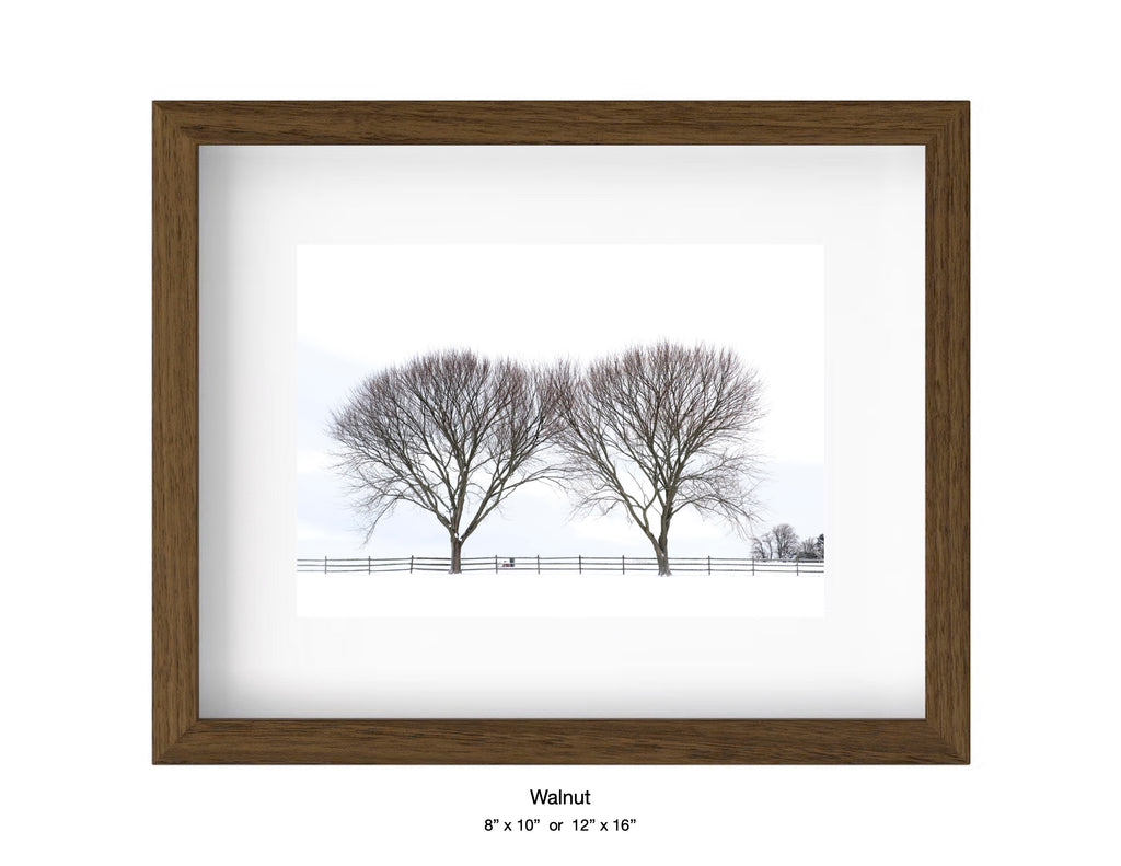 Newport, Rhode Island - December 27, 2025 -