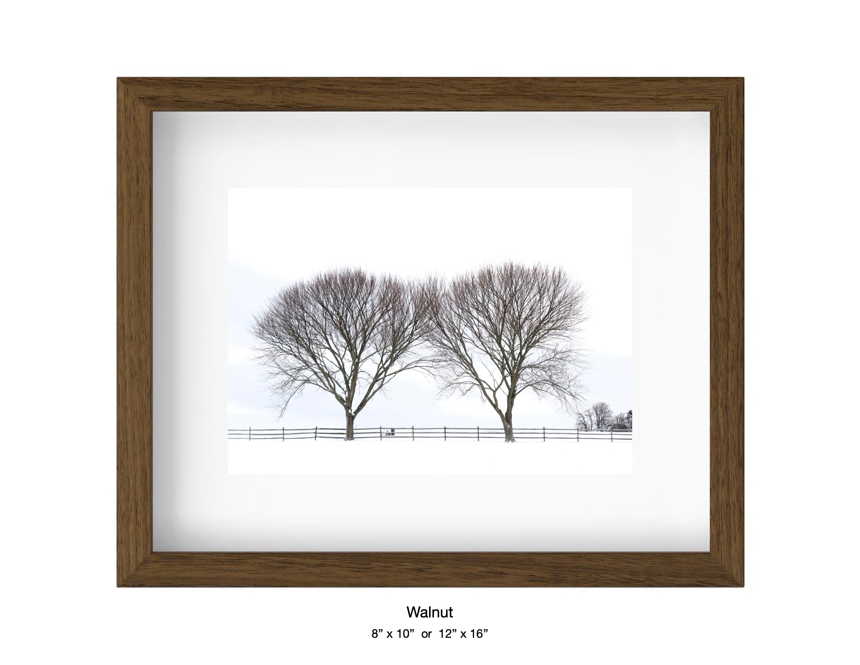 Newport, Rhode Island - December 27, 2025 -