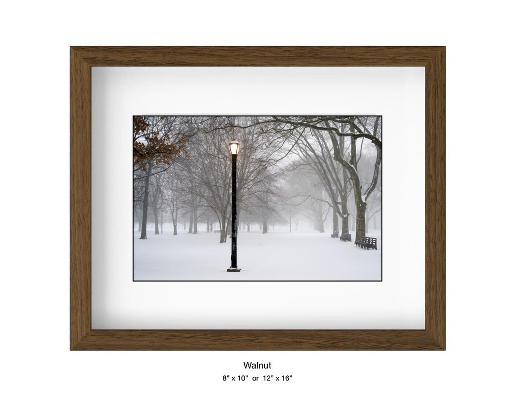 Queens , New York - January, 25, 2026 -
