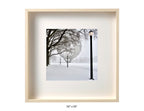 Queens , New York - January, 25, 2026 -