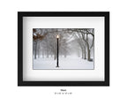 Queens , New York - January, 25, 2026 -