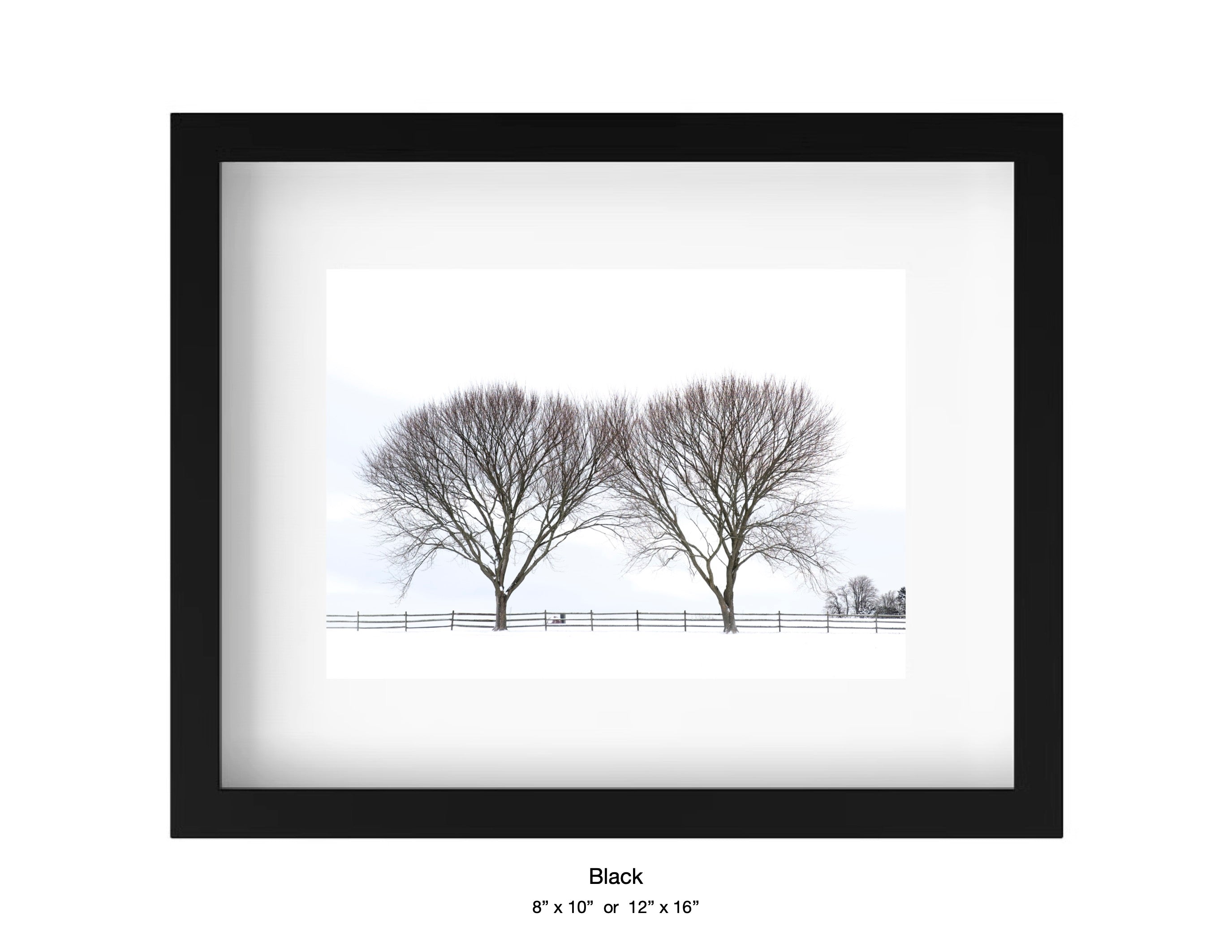 Newport, Rhode Island - December 27, 2025 -