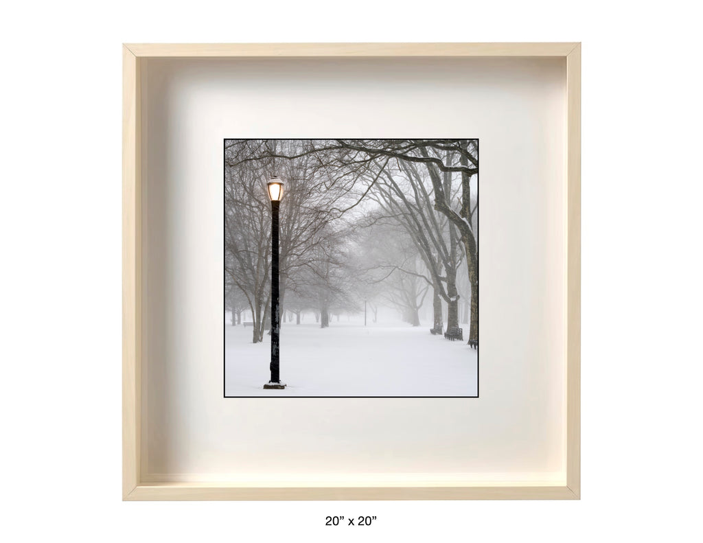 Queens , New York - January, 25, 2026 -