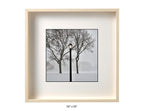 Queens , New York - January, 25, 2026 -