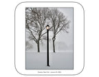 Queens , New York - January, 25, 2026 -