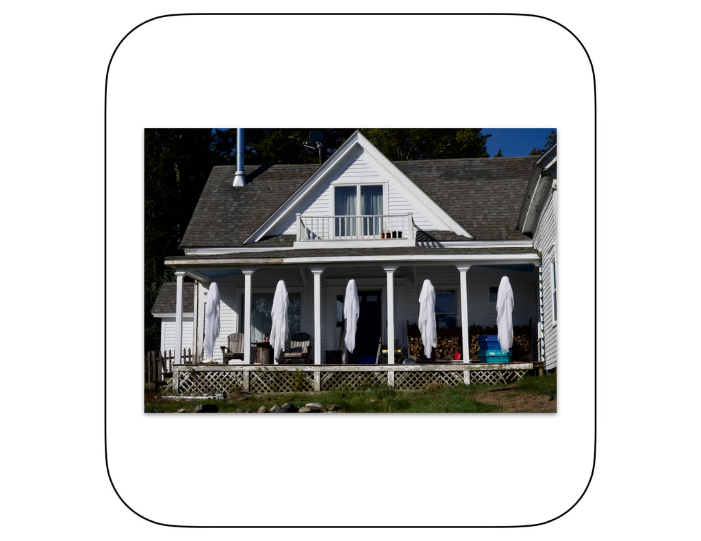 Whitmore Neck, Maine - October 5, 2025 -